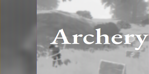 Cover image for Archery