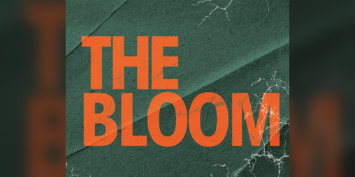 Cover image for THE BLOOM