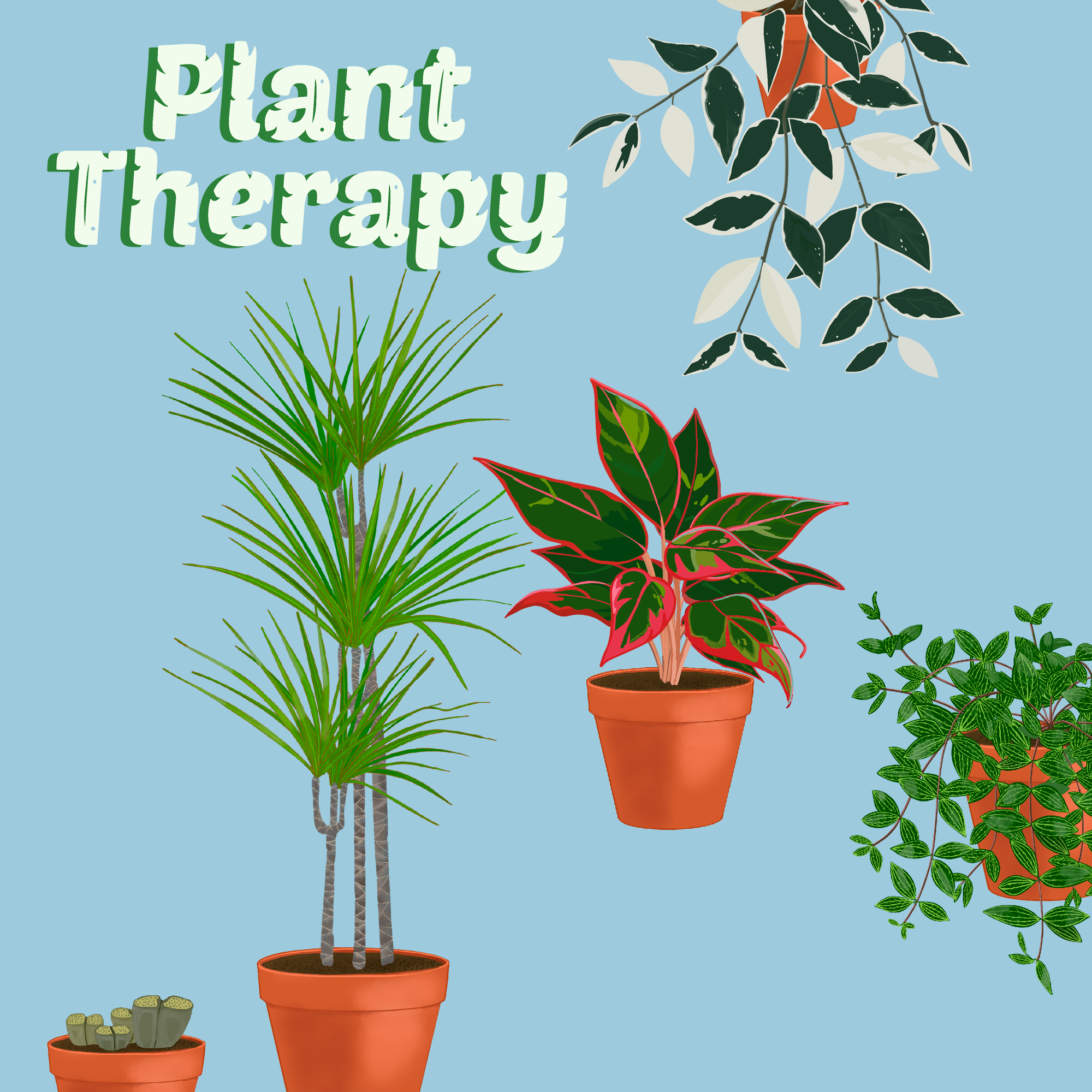 Sneak Peek: New Plants - Plant Therapy by Short Leg Studio