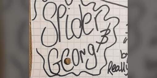 Cover image for Spiders & Georg