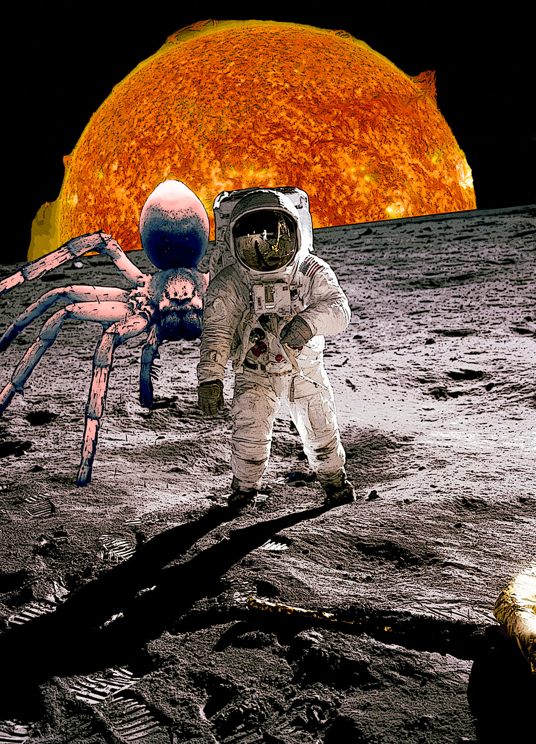 Cover image for Under A Hostile Sun