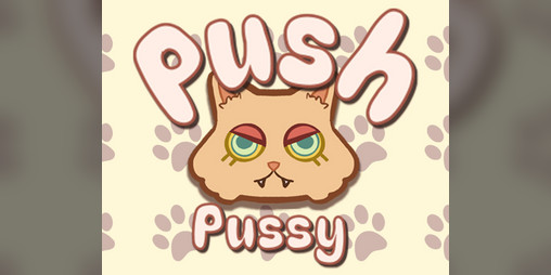 Cover image for Push Pussy