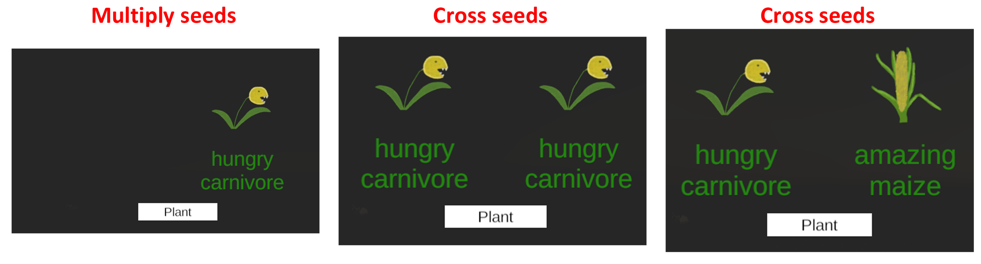 Cross seeds
