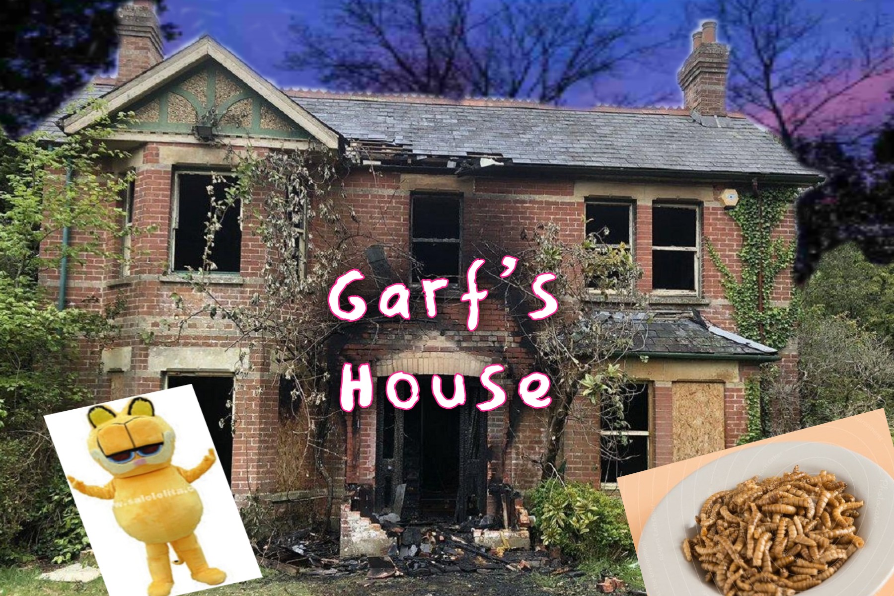 Cover image for Garf's House