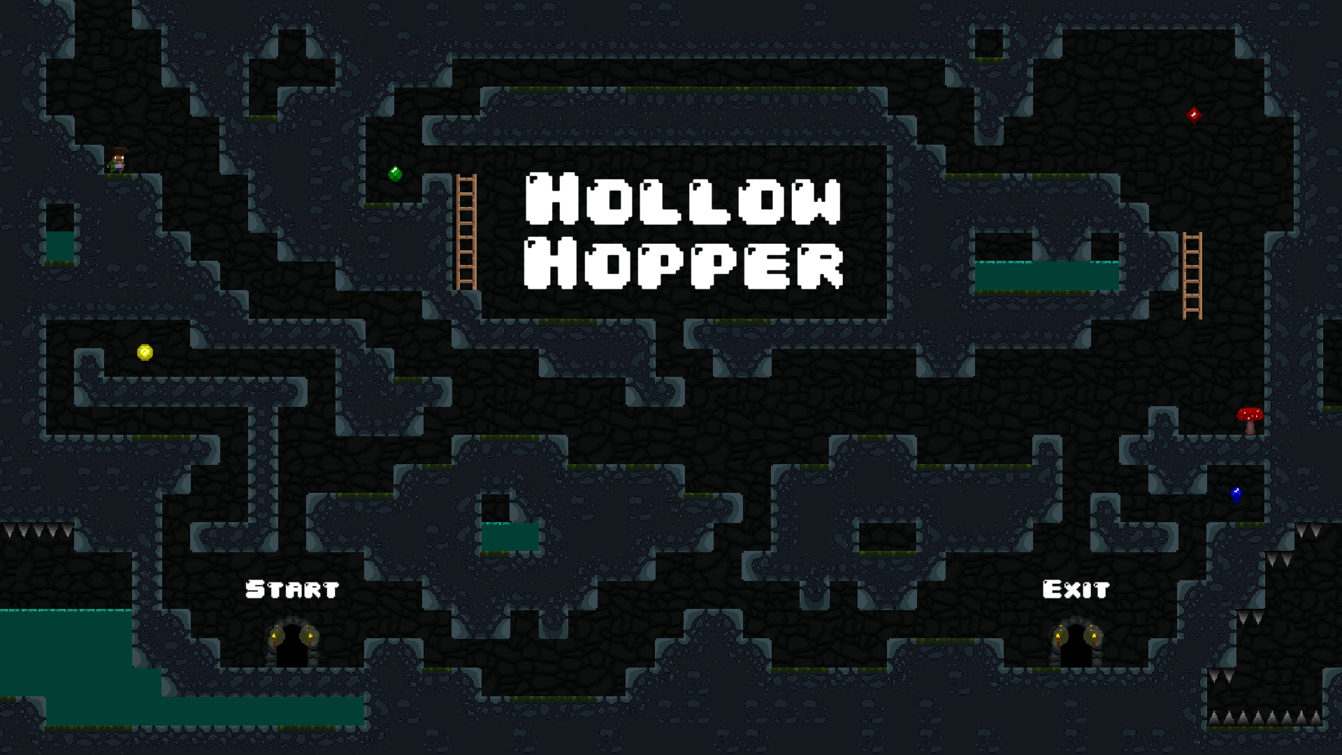 Cover image for Hollow Hopper