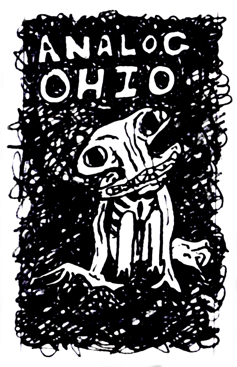 Cover image for Analog Ohio