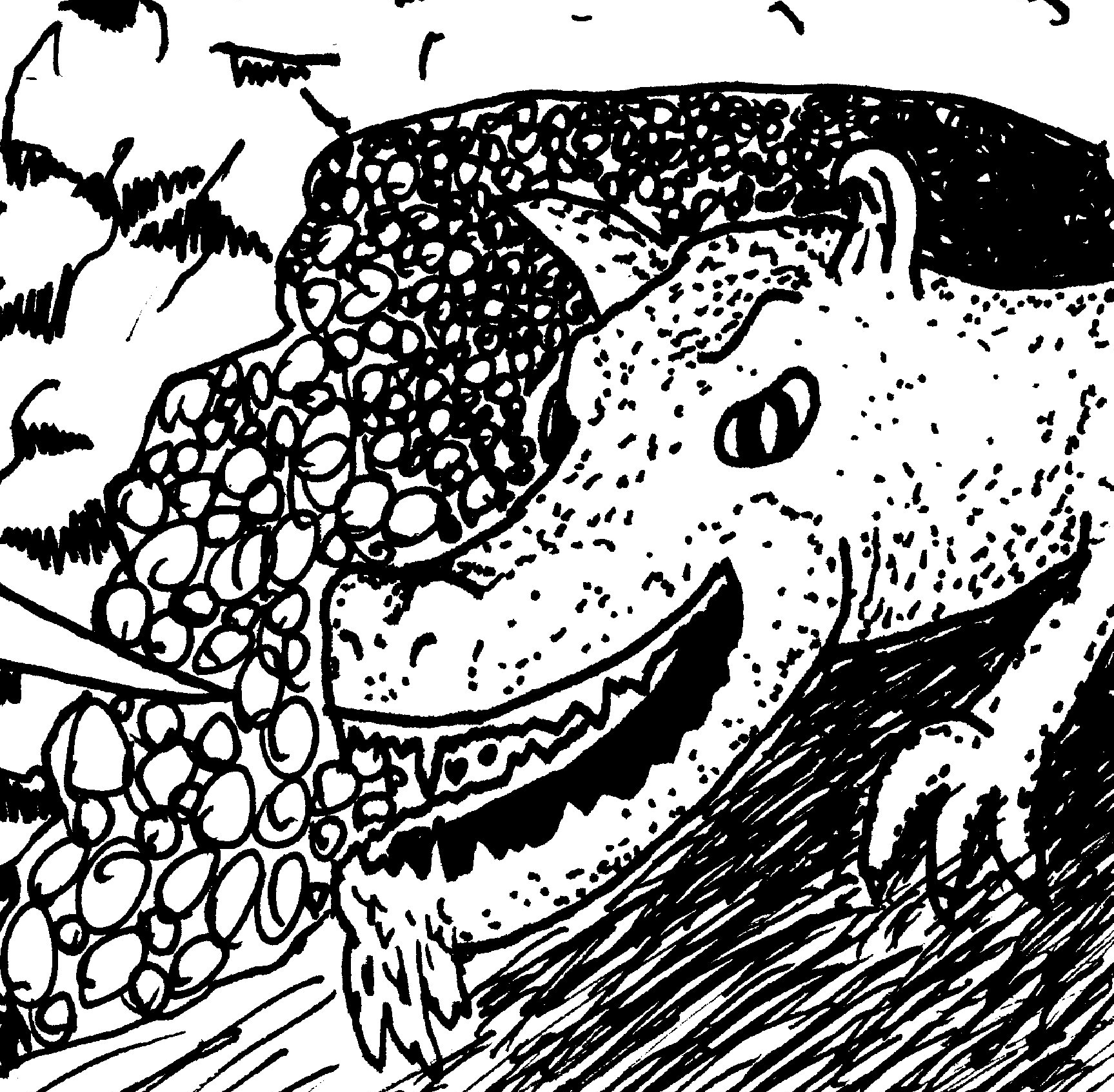 Dragon Cave by Doug T