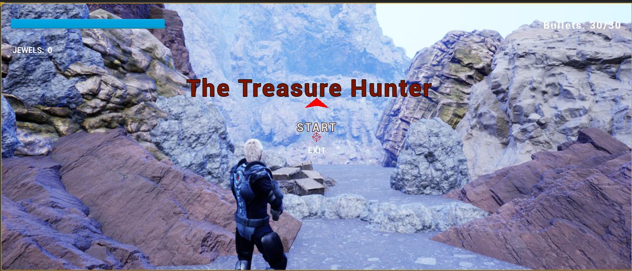 The Treasure hunter