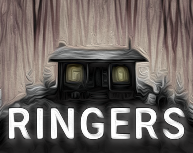 Cover image for Ringers
