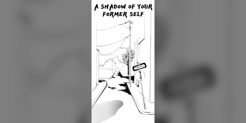 Cover image for A Shadow of your Former Self