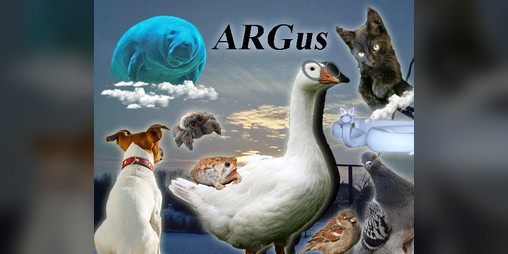 Cover image for ARGus
