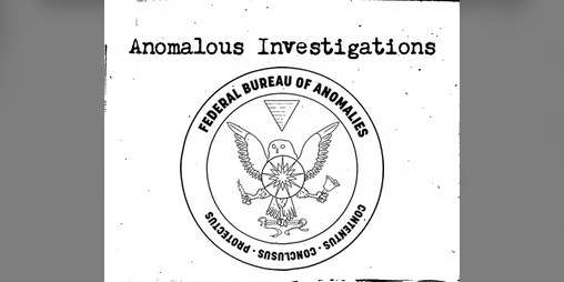 Cover image for Anomalous Investigations
