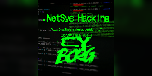 Cover image for .NetSys Hacking