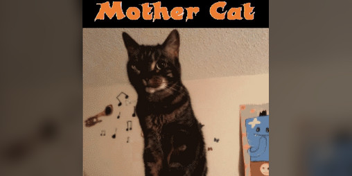 Cover image for Mother Cat!