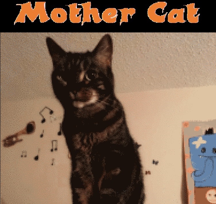 Cover image for Mother Cat!
