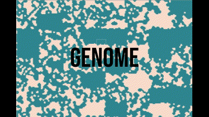 Genome