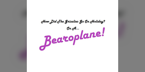Cover image for How Did The Grizzlies Go On Holiday? On A Bearoplane!