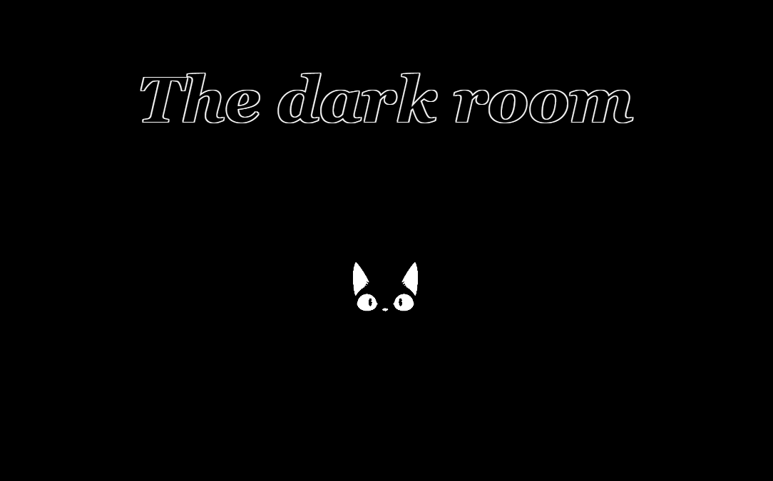 Cover image for The Dark Room