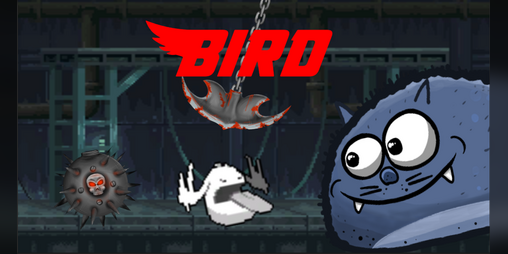 Cover image for Bird