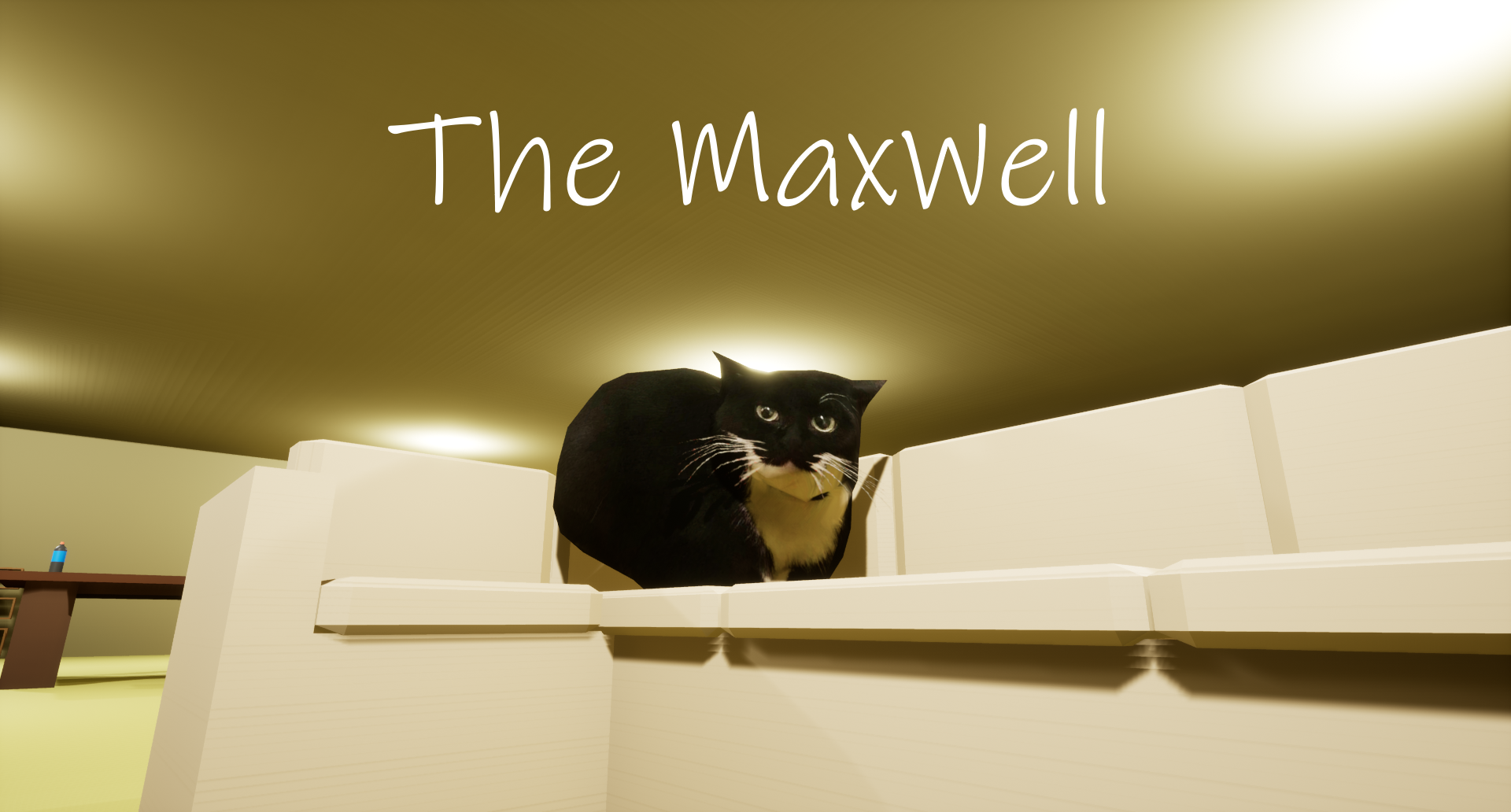 The MaxWell Demo