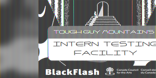 Cover image for Intern Testing Facility