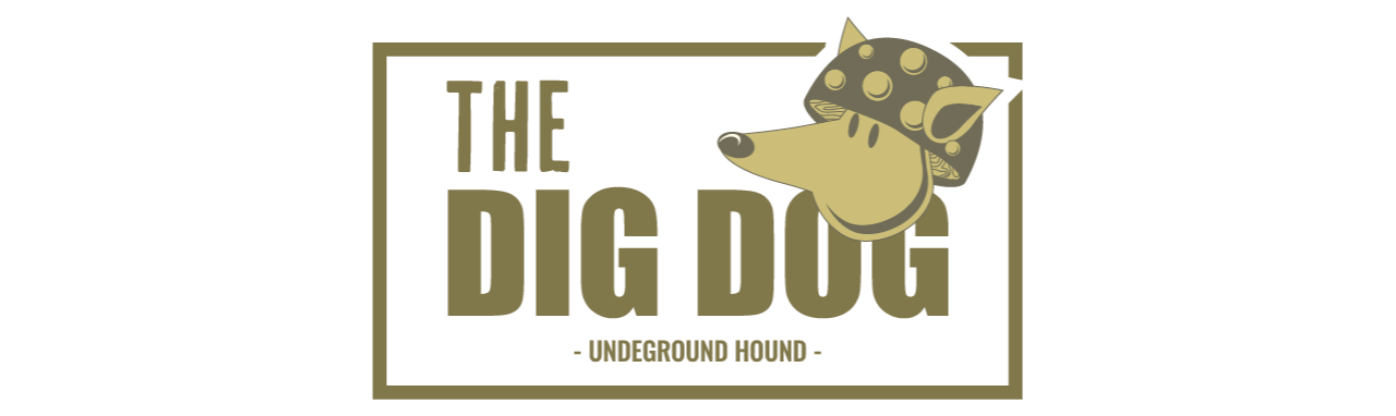 The Dig Dog