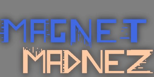 Cover image for Magnet Madnez