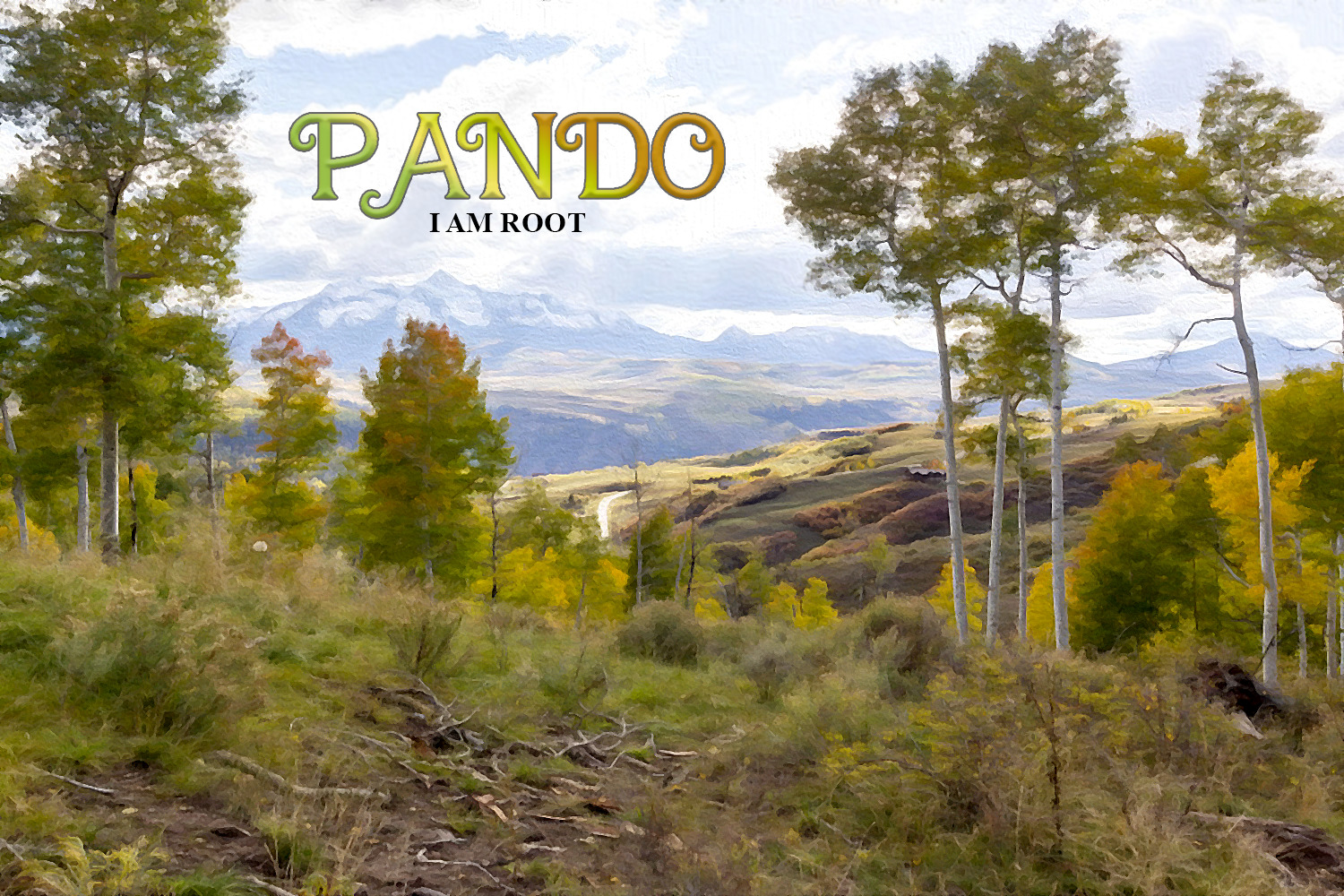 Pando - I am root