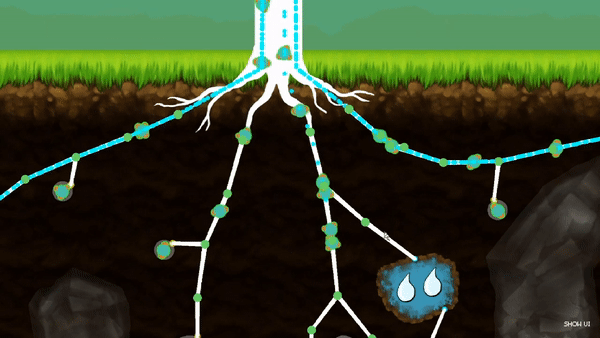 Cover image for Kodama Forest