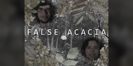 Cover image for False Acacia