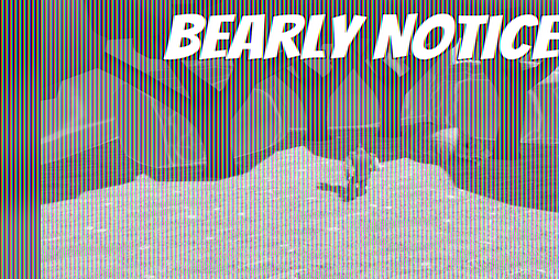 Cover image for Bearly Noticed