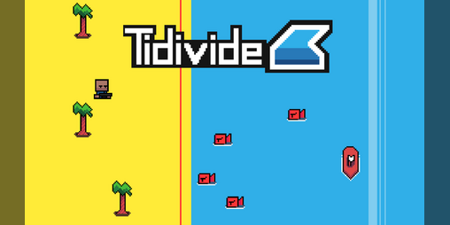 Cover image for Tidivide