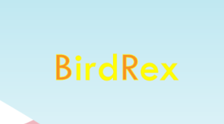 Bridex by saifmoatazosam
