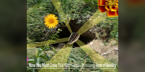 Cover image for Now You Must Grow This Non-Sense Promising Root of Reality