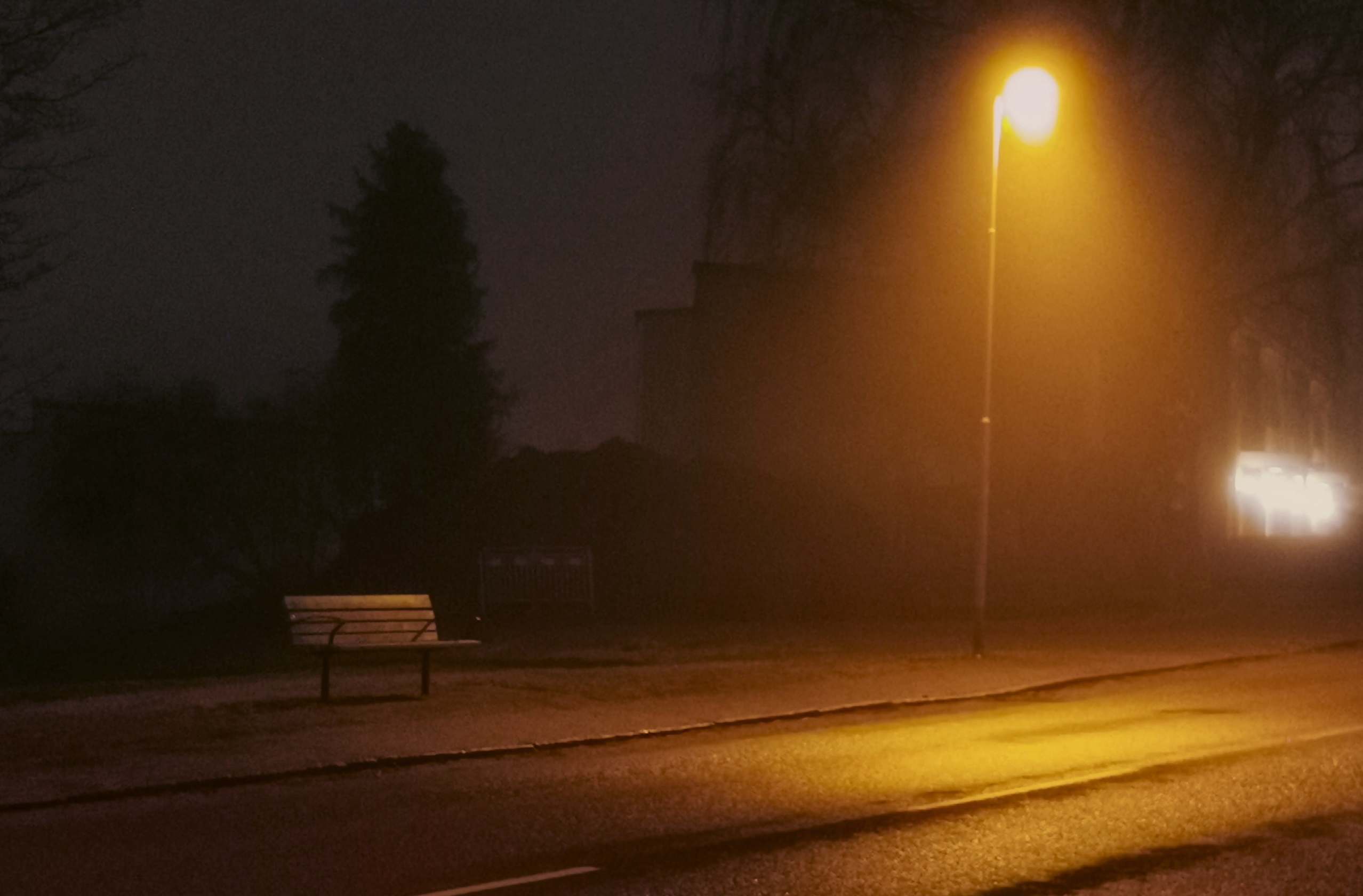 Photograph of a bench lit by a streetlight in the dark