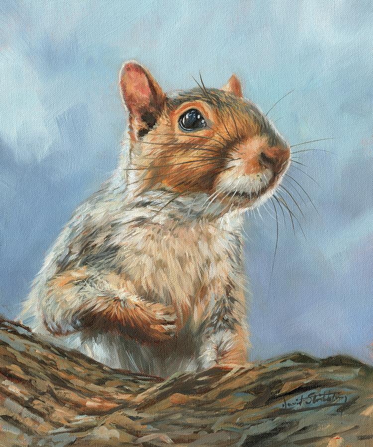 Squirrel Story