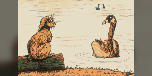 Cover image for Zajíc a Kačer