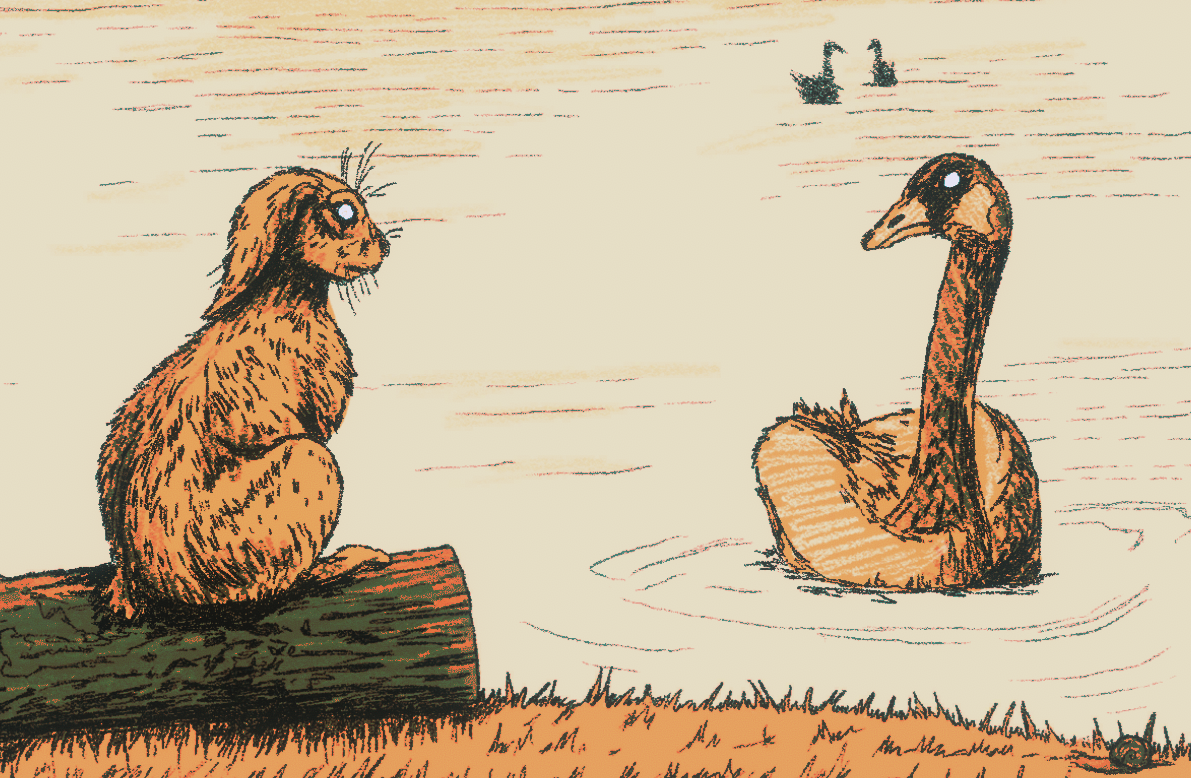 Cover image for Zajíc a Kačer