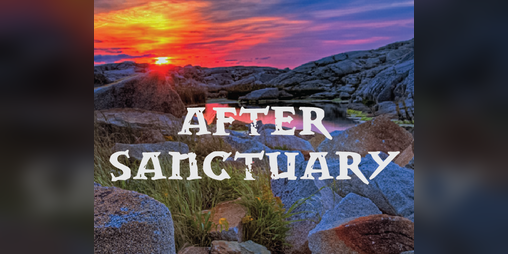 Cover image for After Sanctuary