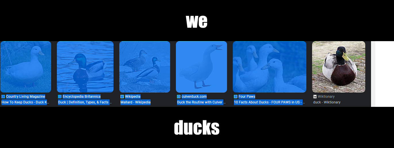 Duck, Definition, Types, & Facts