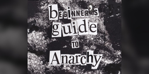 Cover image for Beginner's guide to Anarchy