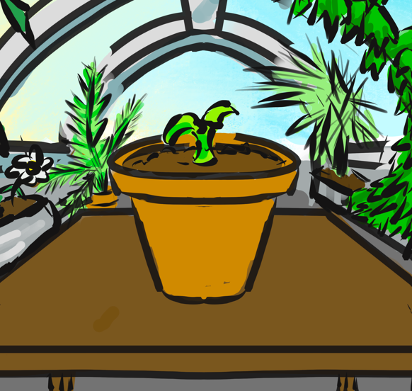 Cover image for Overgrowth