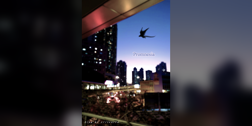 Cover image for Promnesia