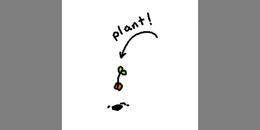 Cover image for plant
