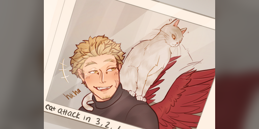 Cover image for VALENTINES DAY: HAWKS