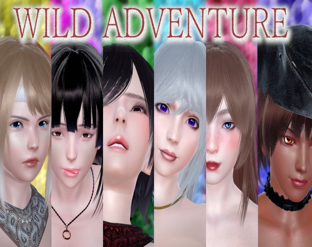 Cover image for Wild Adventure