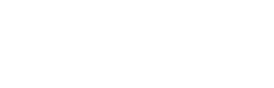 Astro Pig