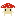 Let the Mushroom die!