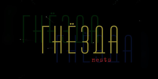 Cover image for Nests
