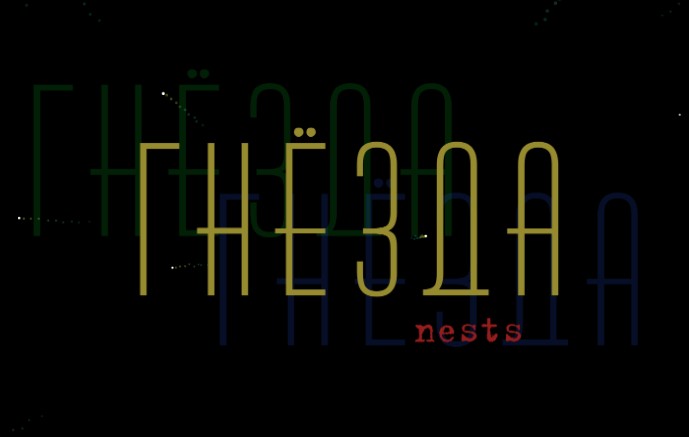 Cover image for Nests